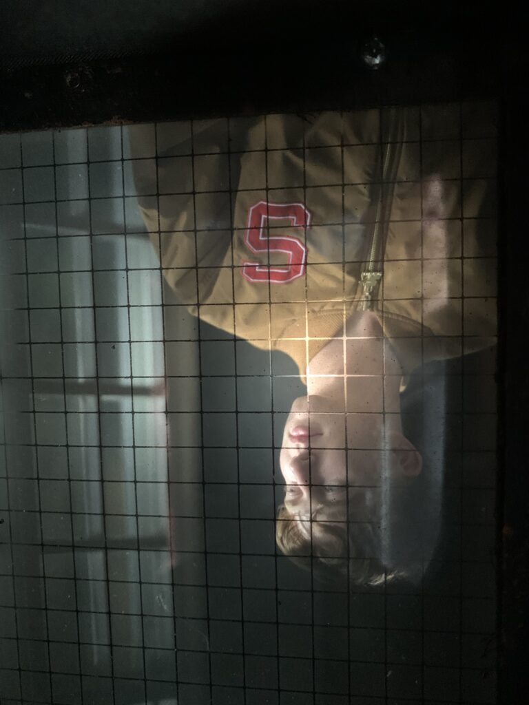 Ground Glass view for Tintype