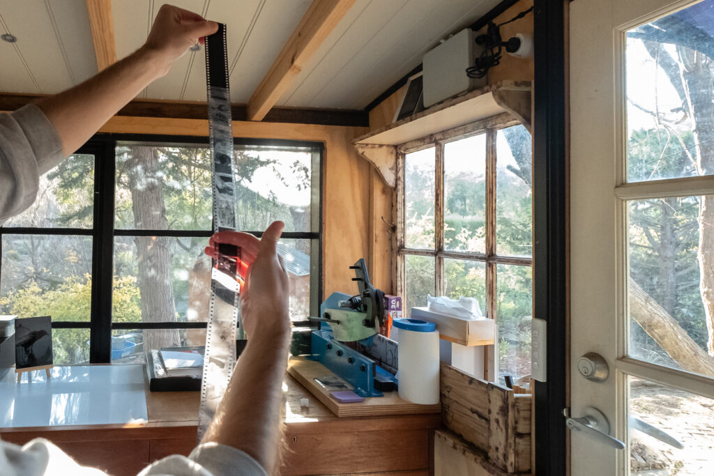 Analogue B&W film workshop