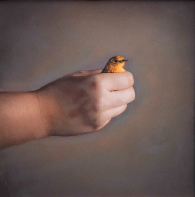 Kate Breakey - hand coloured photograph