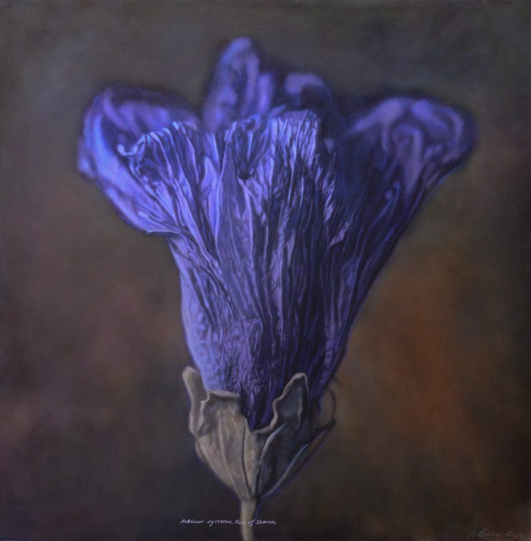 Kate Breakey - hand coloured photograph