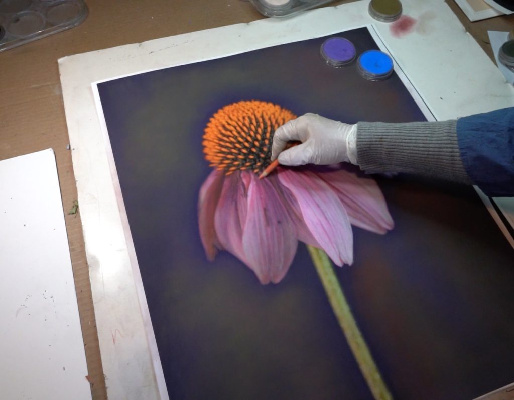 Kate Breakey - hand coloured photograph